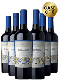 Terranoble Reserva Carmenere 75Cl X 6