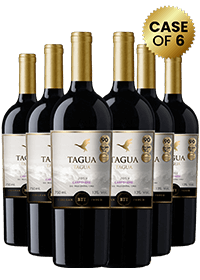 Tagua Tagua Carmenere 75Cl X 6