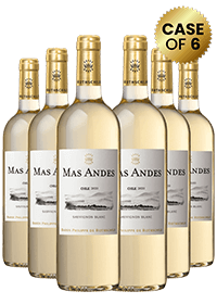 Mas Andes Sauvignon Blanc 75Cl X 6