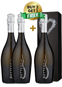 Bottega Diamond Vino Spumante Pinot Nero 75Cl Buy 2 Get 1 Free