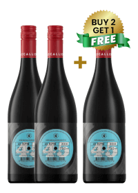 Rascallion 45 RPM Red Blend 75Cl (Buy 2 Get 1 Free)