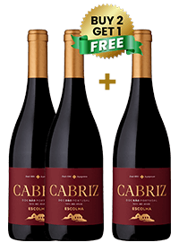 Cabriz - Vinho Tinto Doc Dao Escolha 75 CL (Buy 2 Get 1 Free)
