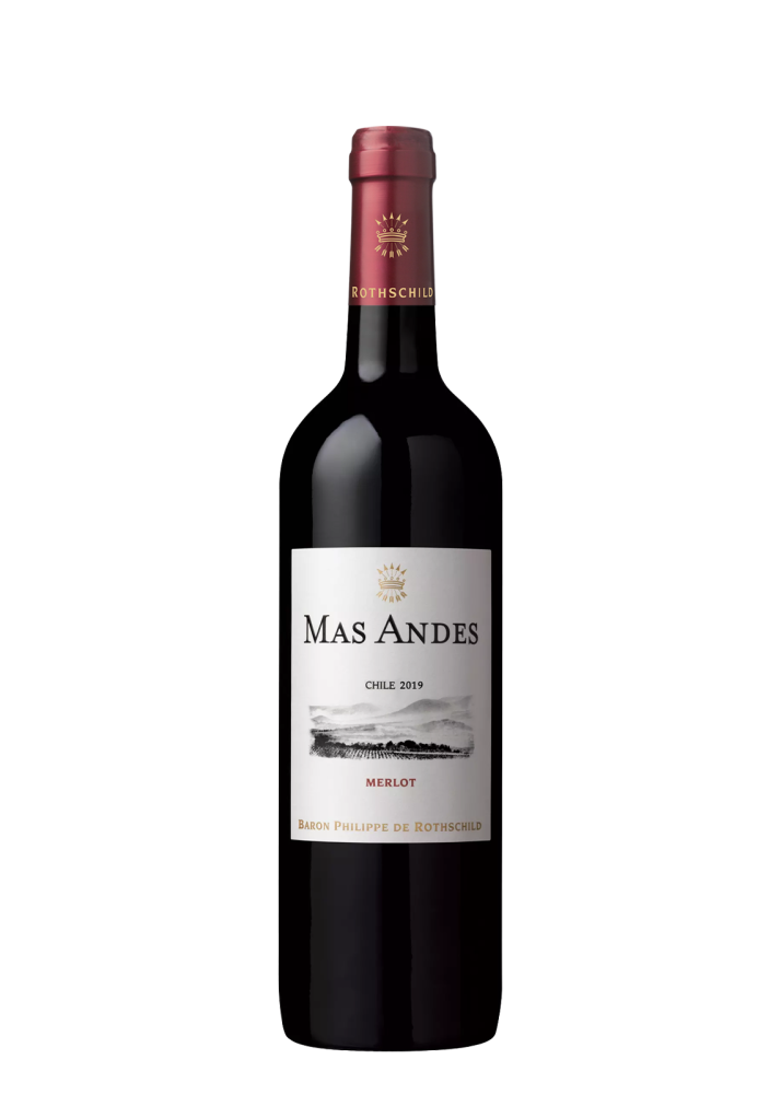 Mas Andes Merlot 75Cl