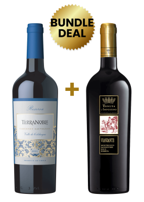 1 Btl Terranoble Reserva Cabernet Sauvignon 75Cl + 1 Btl Tenuta L'Impostino Viandante Montecucco Sangiovese Riserva 2013 75Cl