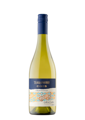 Terranoble Reserva Chardonnay 75Cl