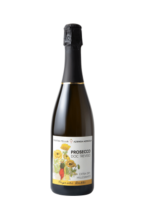 Enotria Tellus Prosecco Doc Treviso Spumante Extra Dry Millesimato 75 Cl