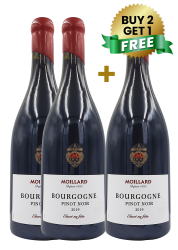 Moillard Bourgogne Pinot Noir Eleve En Futs 75Cl (Buy 2 Get 1 Free)