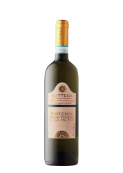 Bottega Pinot Grigio Rose Doc Delle Venezie 75Cl