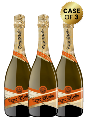 3 Bottles Terre Molin Prosecco Doc Brut 75Cl Promo