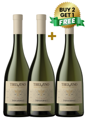 Tbilvino Tsinandali Dry White 75Cl (Buy 2 Get 1 Free)