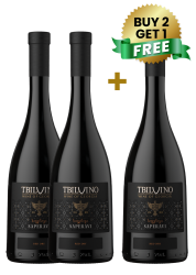 Tbilvino Saperavi Dry Red 75Cl (Buy 2 Get 1 Free)